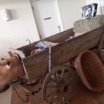 20190427_124310