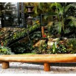 canoa