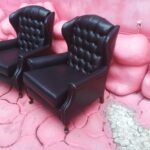 poltrona bergere preta (2)