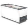 freezer horizontal expositor 505l c