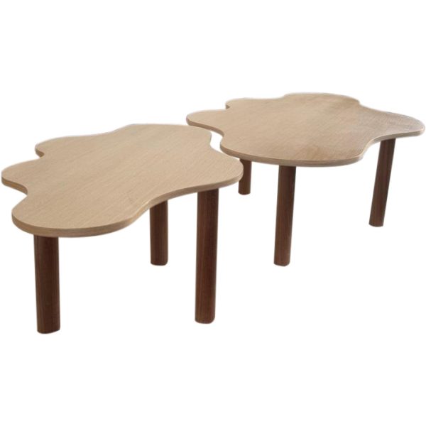 Mesa de Centro Ameba P e G