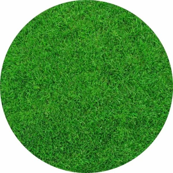 TAPETE grama sintetica 160