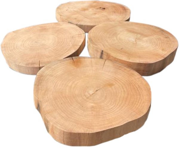 bolachas1
