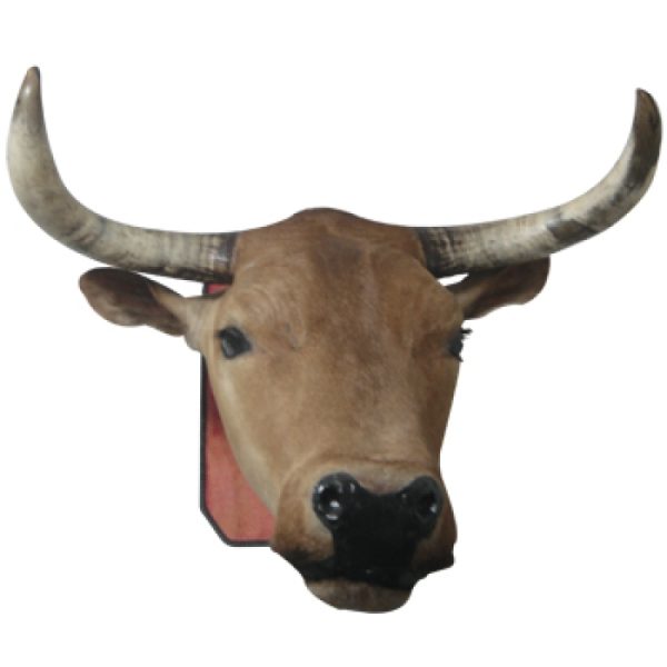 cabeca de vaca1