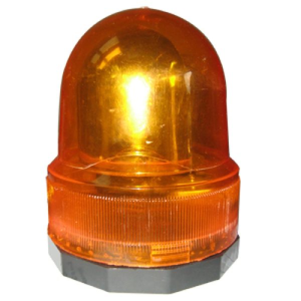 large-1141.jpg
