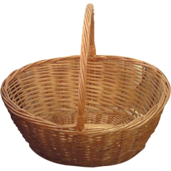 large-1187.jpg