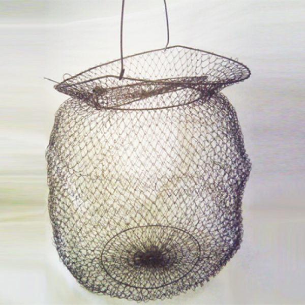 large-1310.jpg