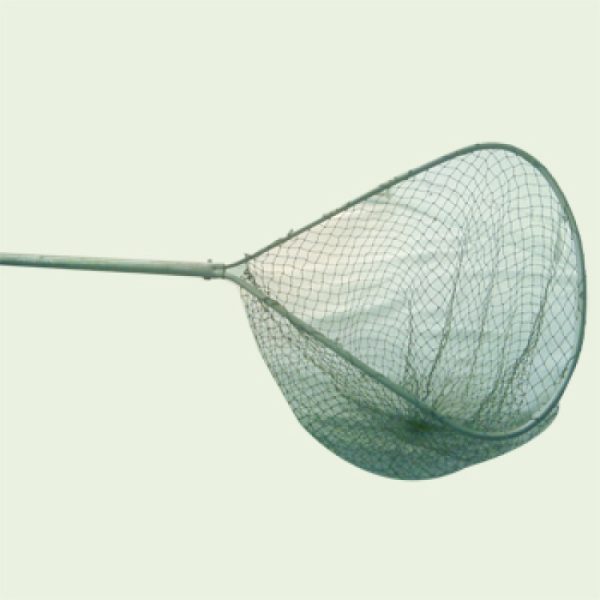 large-1311.jpg