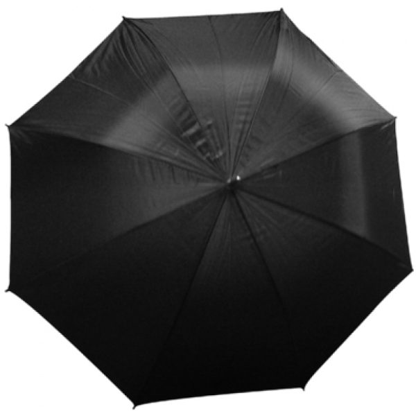 large-2876.jpg