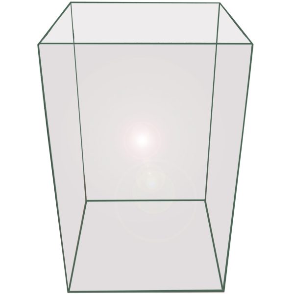 large-2894.jpg