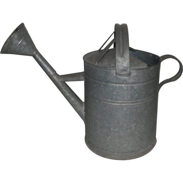 large-322.jpg
