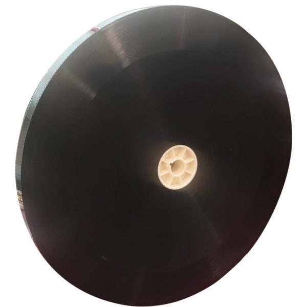 large-4802.jpg