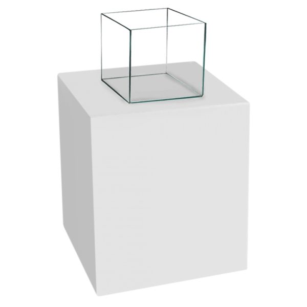 large-5226.jpg